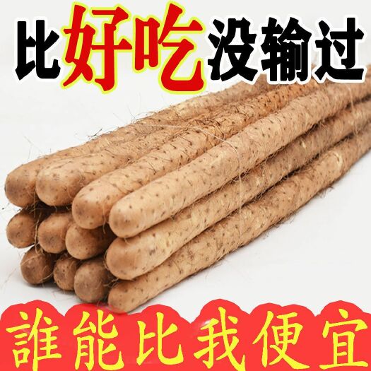 广州新鲜铁棍山药小白嘴山药淮山药批发原产地粉糯香甜自家种植