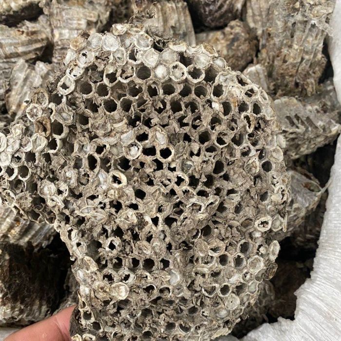 软蜂房正品露蜂房中药材马蜂窝黄蜂房可打蜂房粉中药材店铺