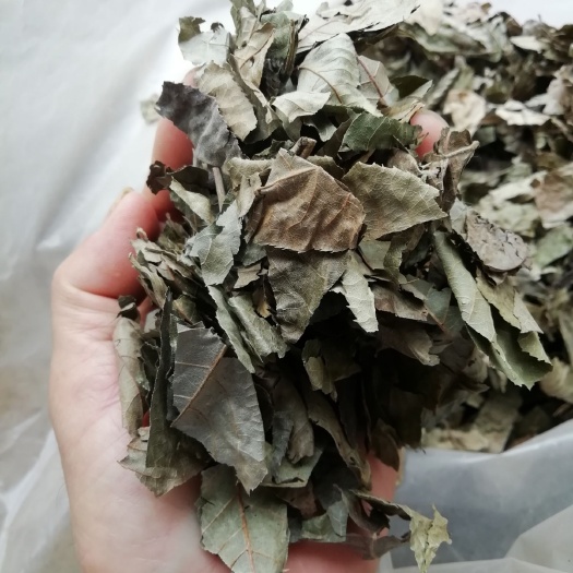 隆林县通眼树叶甜茶 尿酸茶 千年古树叶，口感香甜