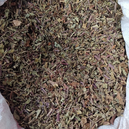 玉林中草药无硫磺药用猫须草别名猫须公肾茶量大从优