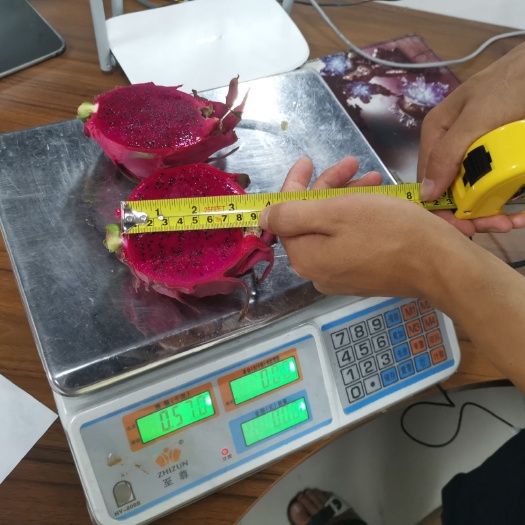 金都一号火龙果  金都一号红心火龙果