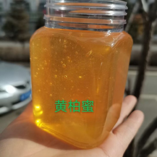 饶河县土蜂蜜  黄柏蜜又叫黄菠萝蜜，2022年东北黑蜂蜂蜜新鲜上市