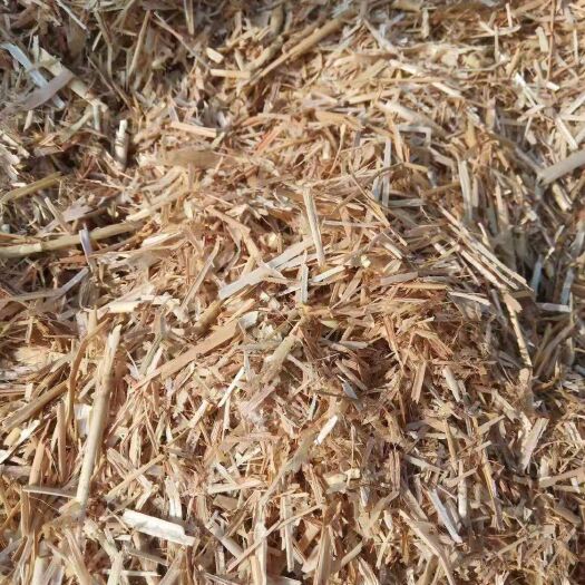 舞钢市小麦秸秆 柔丝小麦草现货