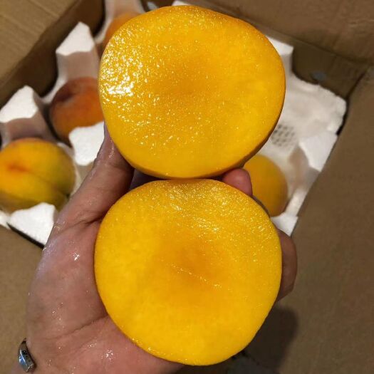 砀山县 83黄桃大量上市，欢迎电商市场采购洽谈