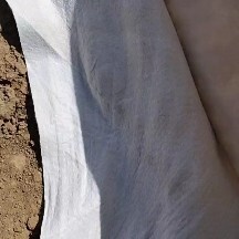 德州防渗膜 900克复合膜生产中，按客户要求河道十二万平，给客户