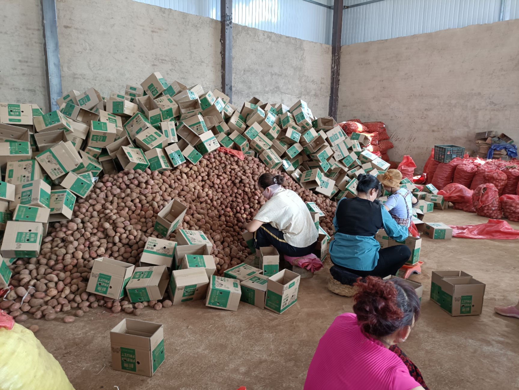 云南产地红皮黄心土豆专业一件代发日均5000+有量有价，当天