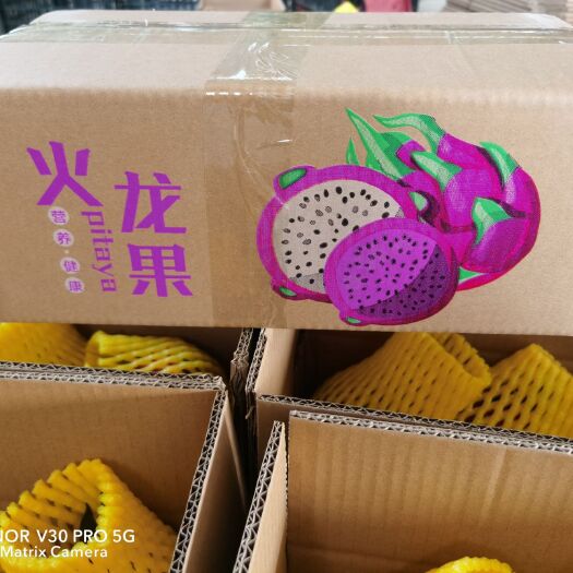 南宁广西金都一号火龙果  ，承接一件代发，各电商平台渠道订单