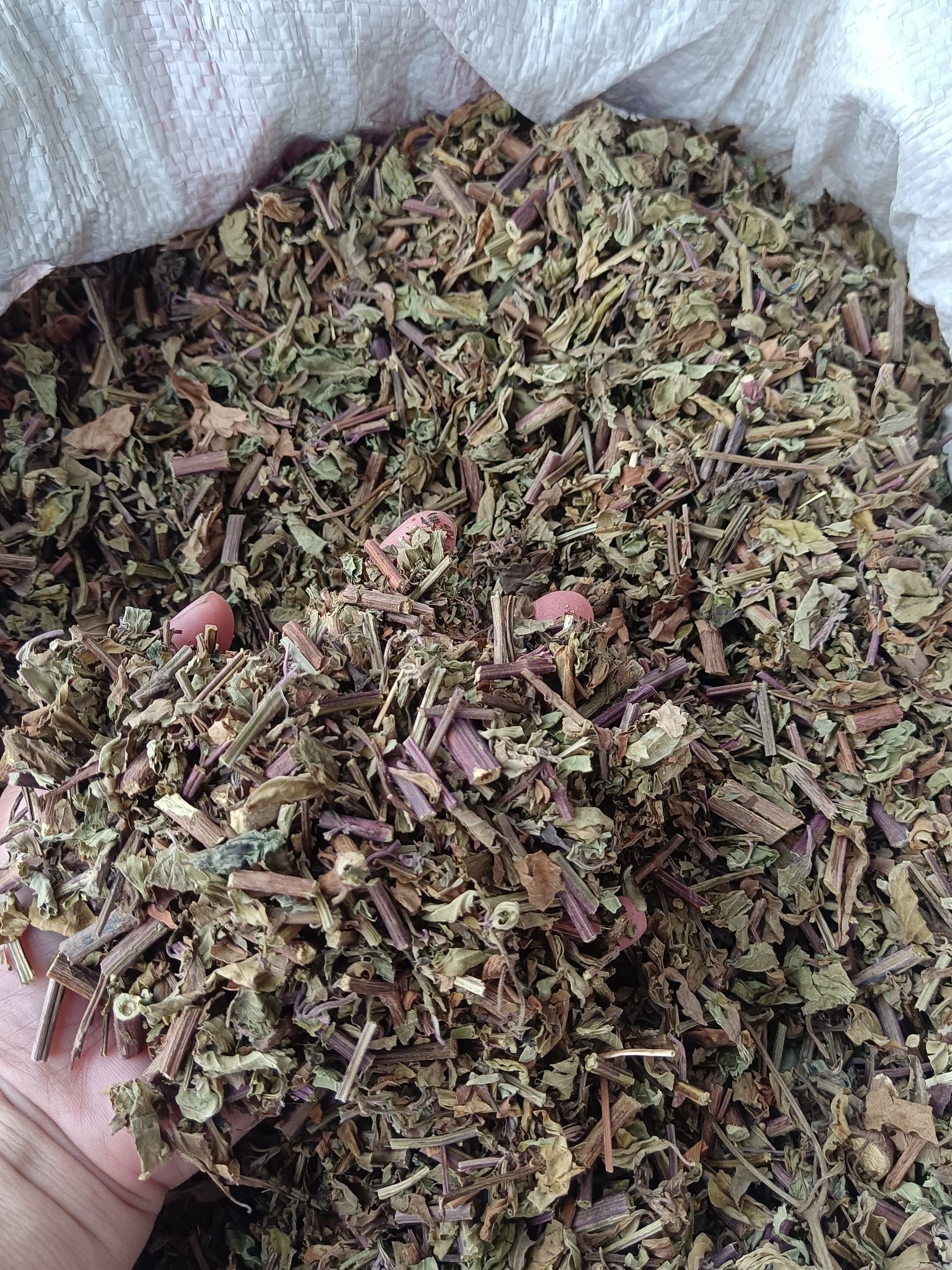 中草药无硫磺猫须草别名猫须公肾茶量大从优