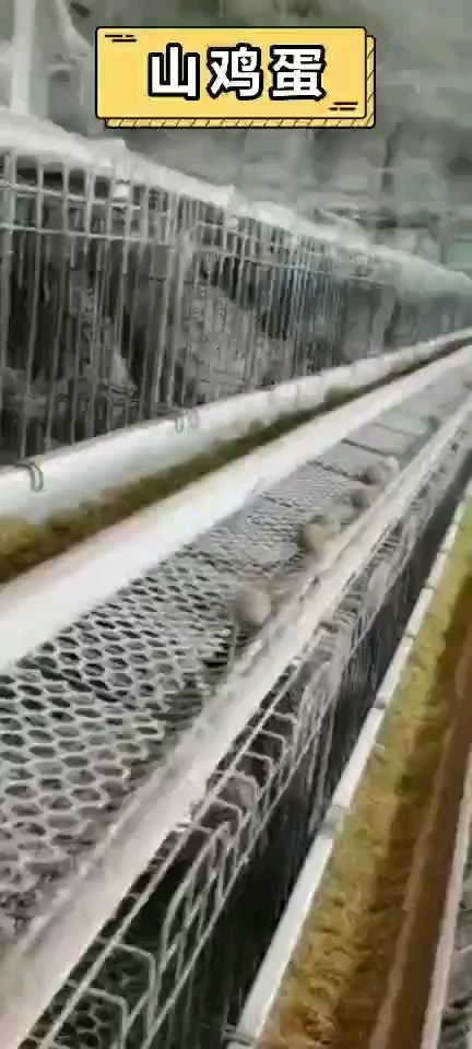 包装盒  农户自己养殖，一手货源，保证新鲜，保证质量。