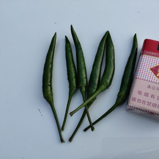 安龙县小米椒 青米