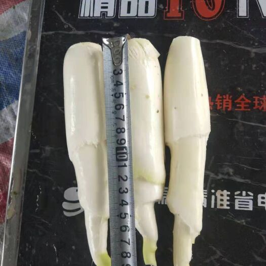 惠水县茭白 贵州省黔南布依族苗族自治州惠水县