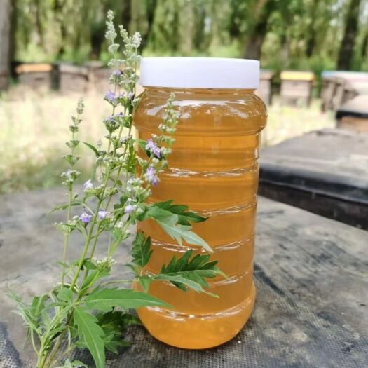 赞皇县荆条蜜 荆花蜜