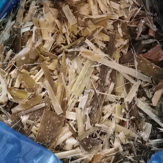 清流县青储草  乳酸菌发酵青贮草料，酒香浓郁，适口性好
