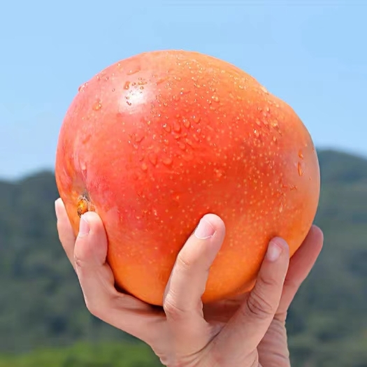 凭祥市广西澳芒，味道好，货好，需要的联系我