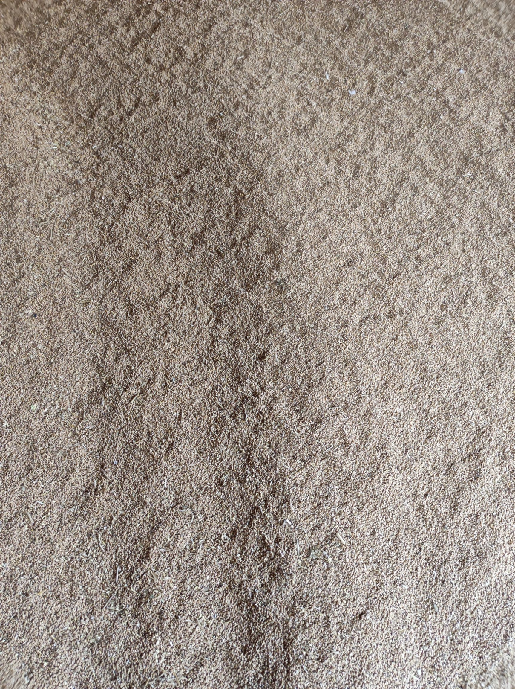 销售自家21年新小麦