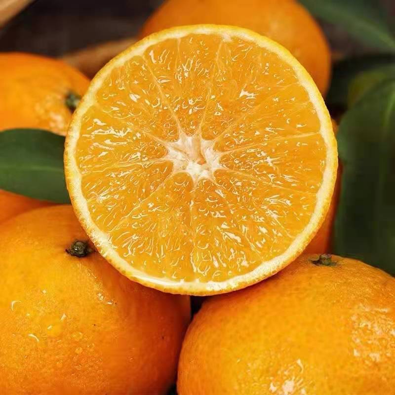 广西果冻橙，果型方正，大小均匀，有需要的抓紧联系我