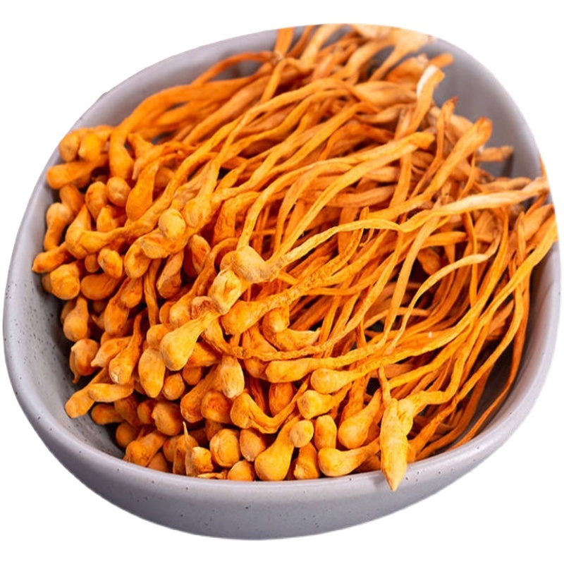 长白山北虫草花干货正品级特金虫草煲汤材料蛹虫草菇新鲜六斤包邮
