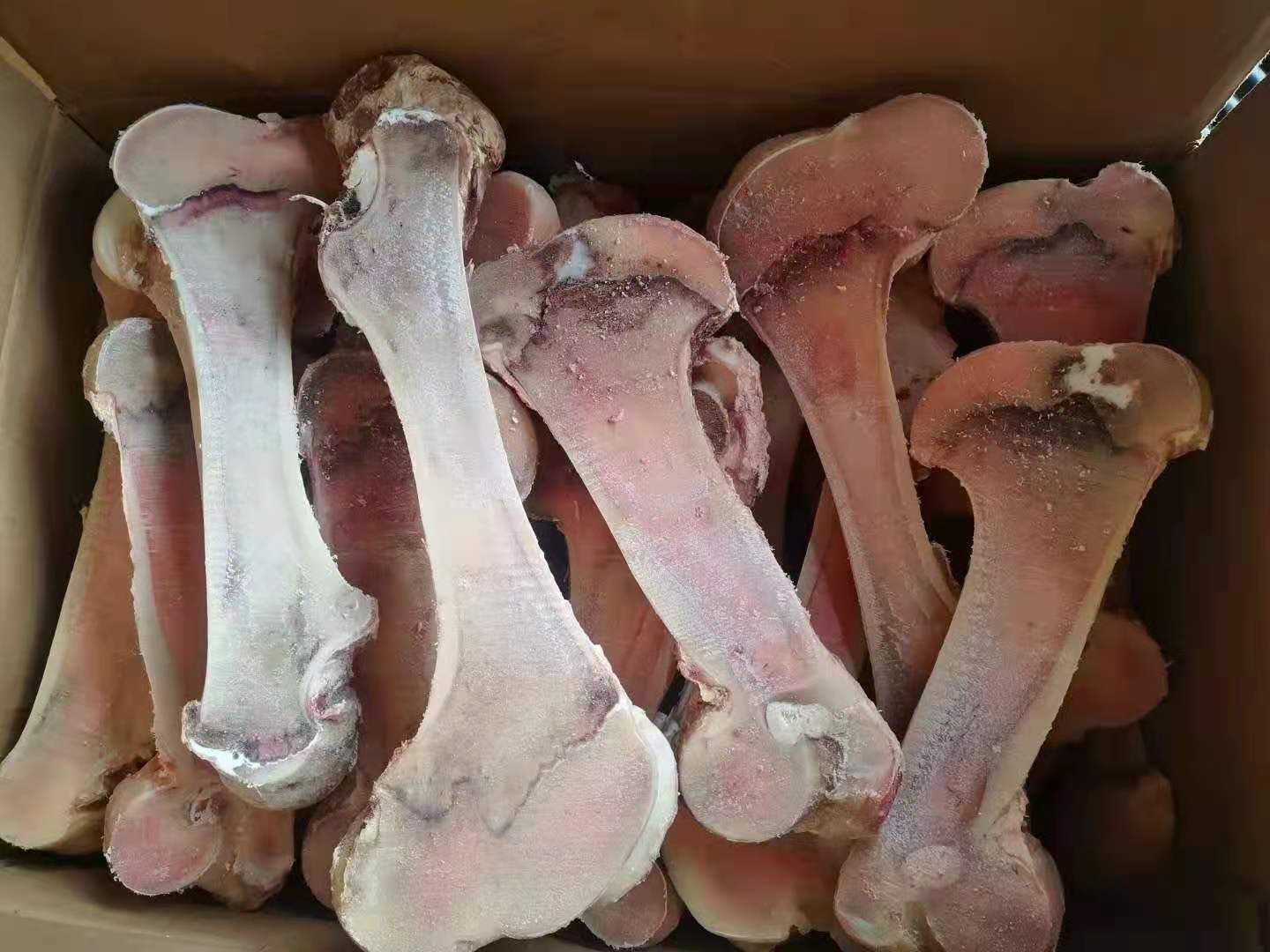 牛骨  国产牛棒骨  熬汤专用  羊汤馆 牛肉汤