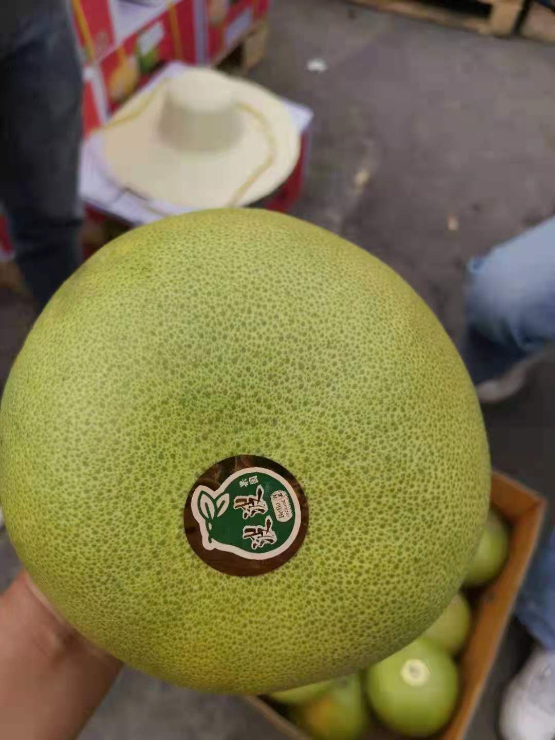  泰国青柚，34斤净重，果型方正，大小均匀，有需要的抓紧联系我