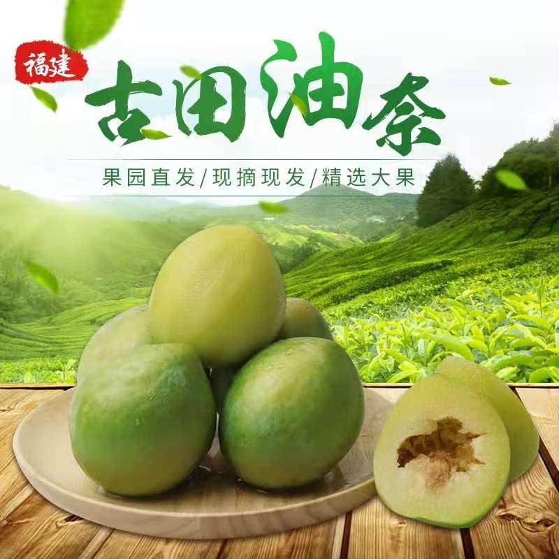 2026头茬现摘现发福建古田油奈李【酸甜脆爽】脱骨甜李油奈李