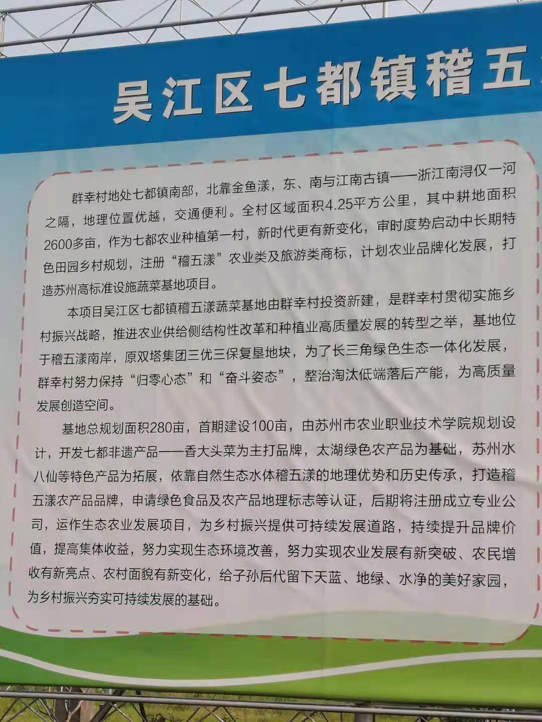 种植大棚 苏州吴江区七都镇蔬菜大棚基地大棚出租