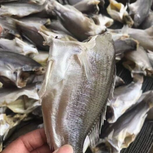 广州 鲈鱼干，精致大条，饱满圆润 咸干