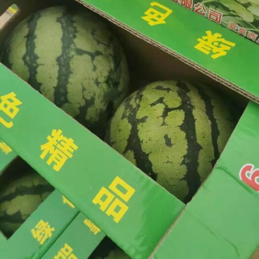 美都麒麟无籽西瓜本人1753年从事680行蔬菜水果5678年