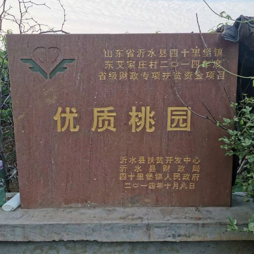 【油桃】山东陆地油桃大量上市 口感好 硬度高 耐运输