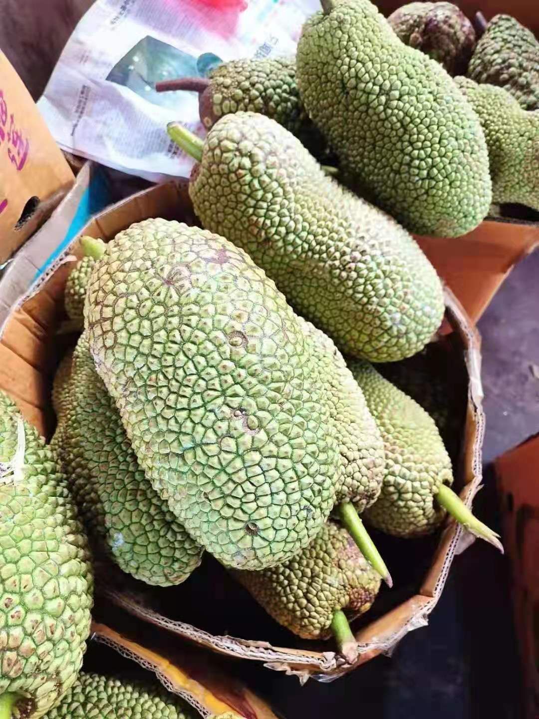 越南榴莲蜜，果型大小均匀，有需要的抓紧联系我