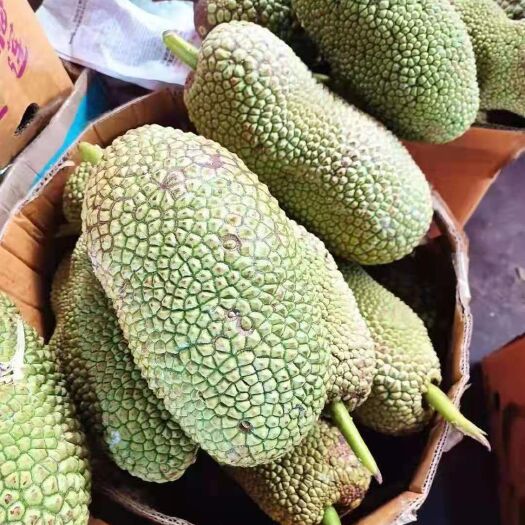 凭祥市越南榴莲蜜，果型大小均匀，有需要的抓紧联系我