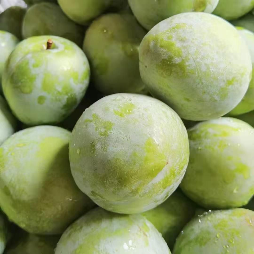 奈李  无骨脆李（油奈），果型方正，大小均匀，有需要的抓紧联系我