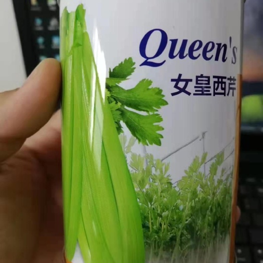 鄱阳县女皇西芹种子