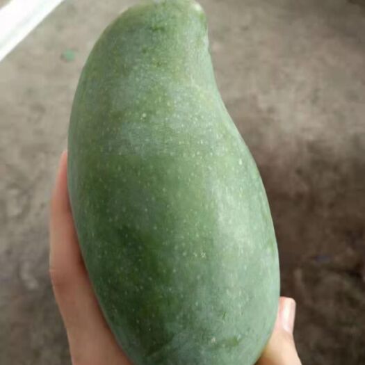 百色广西百色大青芒，果型方正，大小均匀，有需要的抓紧联系我