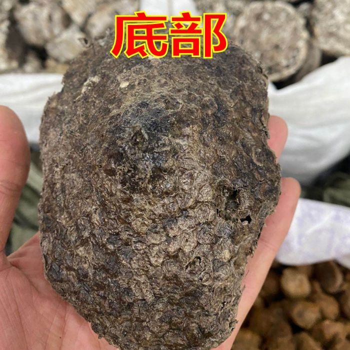 软蜂房正品露蜂房中药材马蜂窝黄蜂房可打蜂房粉中药材店铺