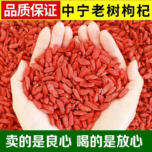 红枸杞 新货正宗宁夏枸杞子中宁特级大粒正品免洗500g