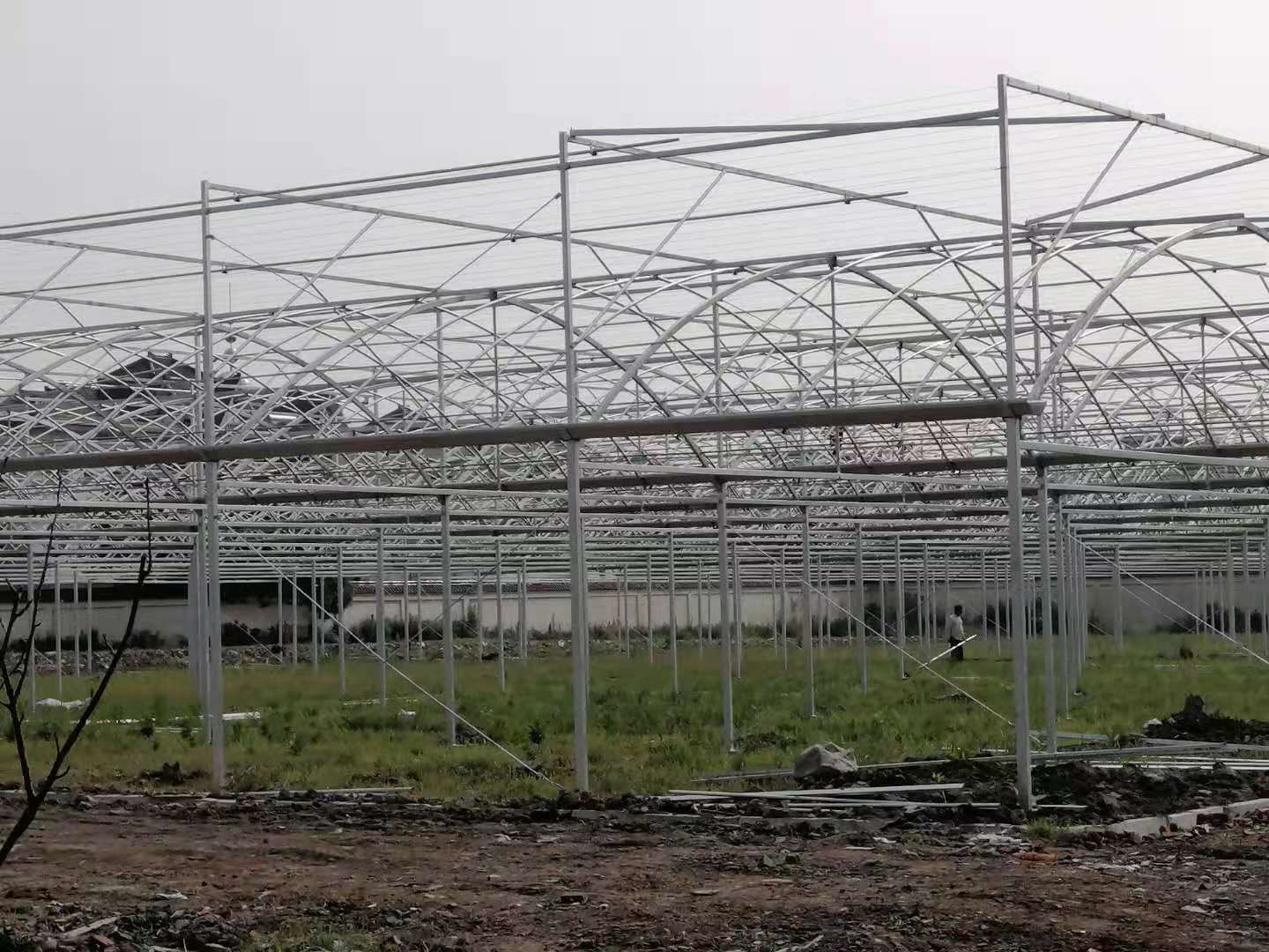 种植大棚 苏州吴江区七都镇蔬菜大棚基地大棚出租
