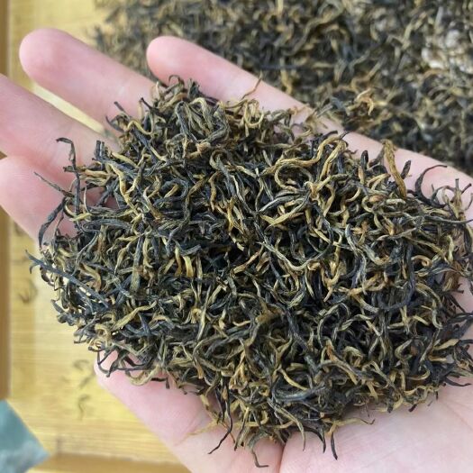 南雄市金骏眉  狗牯脑红茶超值热卖豆香型红茶叶桐木关散装500g包