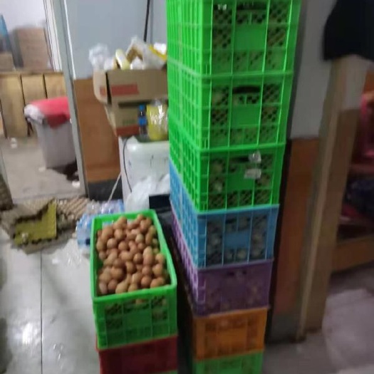 天津普通鸡蛋  鲜鸡蛋天津批发鸡蛋提供代加工