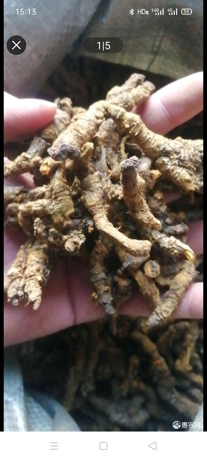 味连  纯干，无杂质