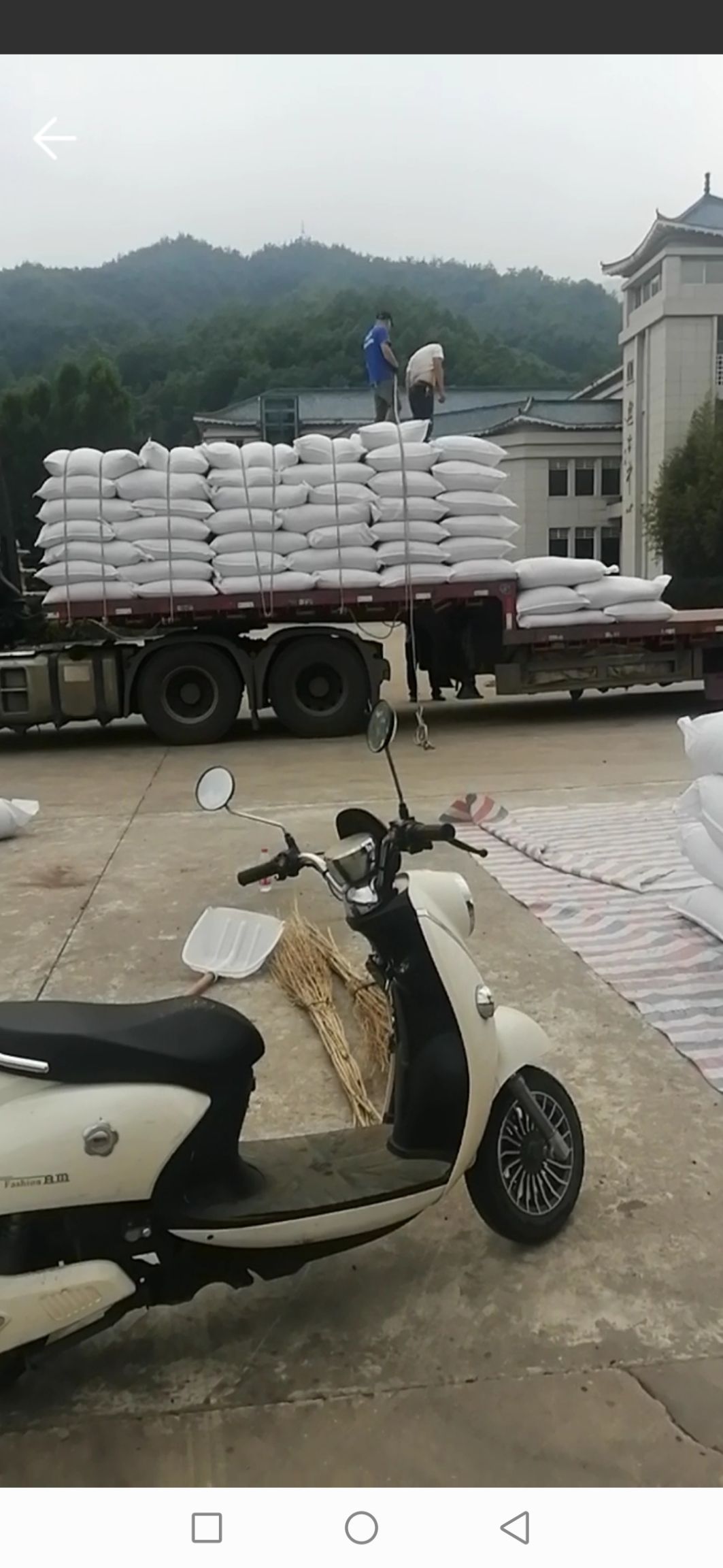 山茱萸、山萸肉产地经营30年，精品出口、茶饮、药厂饮片！