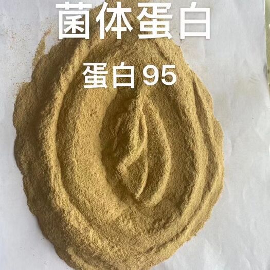 济南蛋白质补充饲料 菌体蛋白