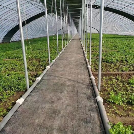 天津种植大棚 种植棚
