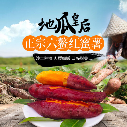 彭州市一件代发 西瓜红红薯沙地蜜薯六鳌蜜薯地瓜皇后基地直供