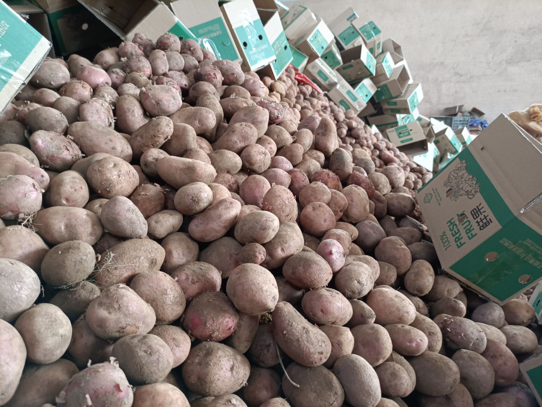 云南产地红皮黄心土豆专业一件代发日均5000+有量有价，当天