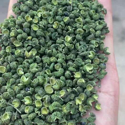 成都 2021九叶青花椒，开口好，颜色翠绿