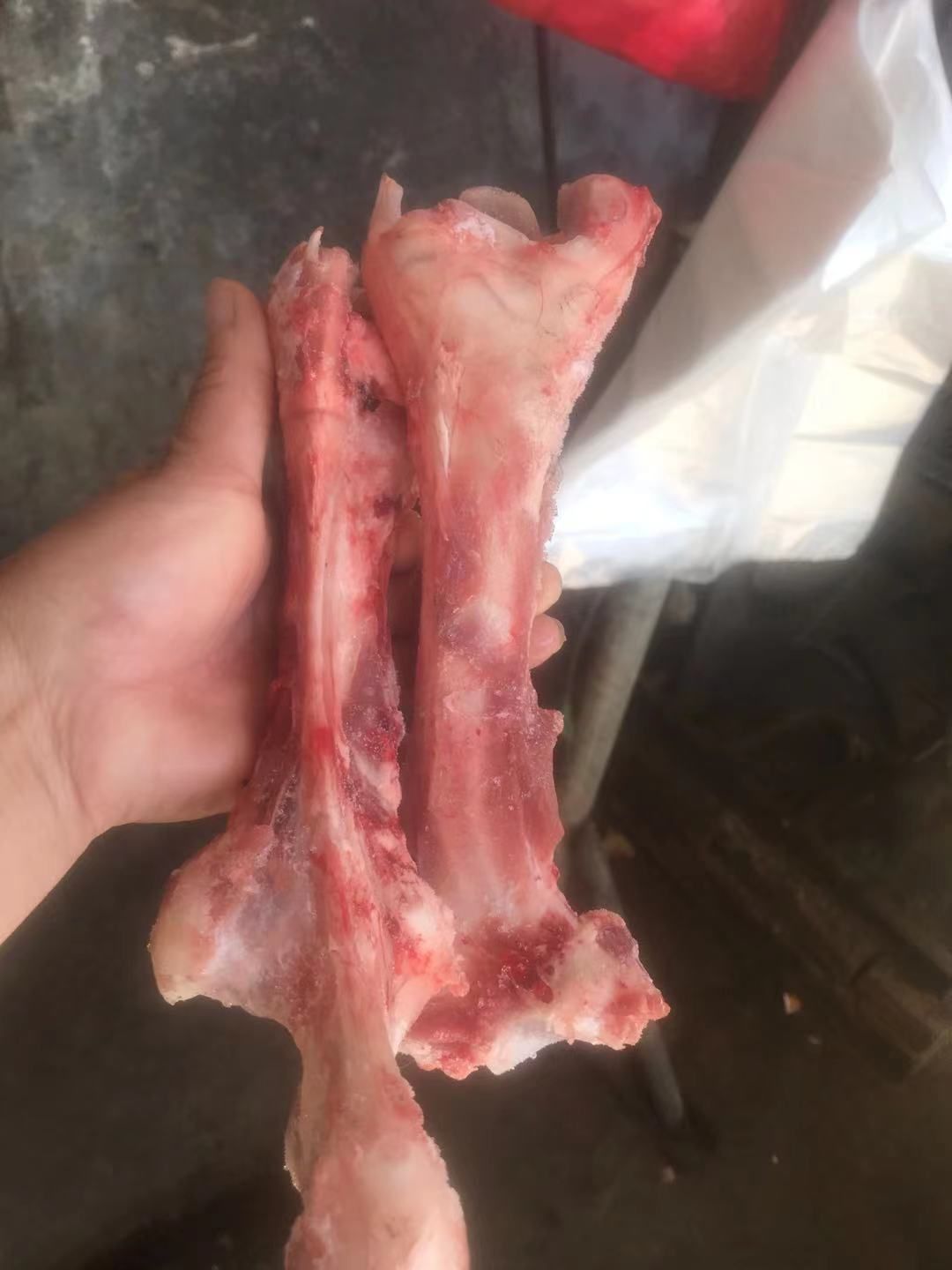牛骨  厂家直销  乳牛棒骨，一手货源，欢迎选购。