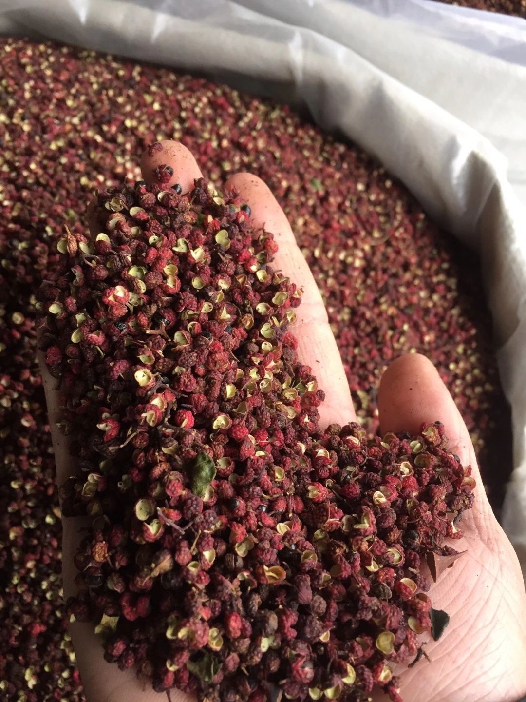 红花椒 四川汉源贡椒