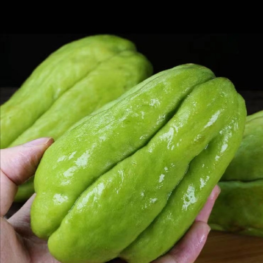 建水县佛手瓜  靓货，懂的老板来！