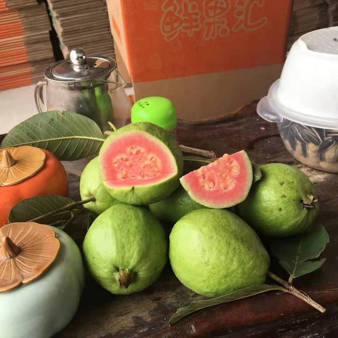 番石榴 广西水果芭乐，果型方正，大小均匀，有需要的抓紧联系我