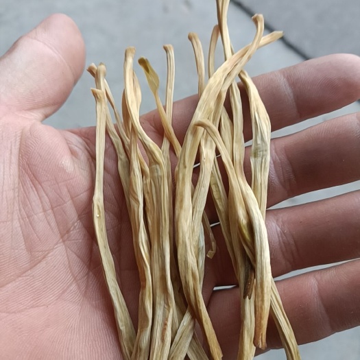 合阳县七蕊黄花菜 陕西省渭南市合阳县 